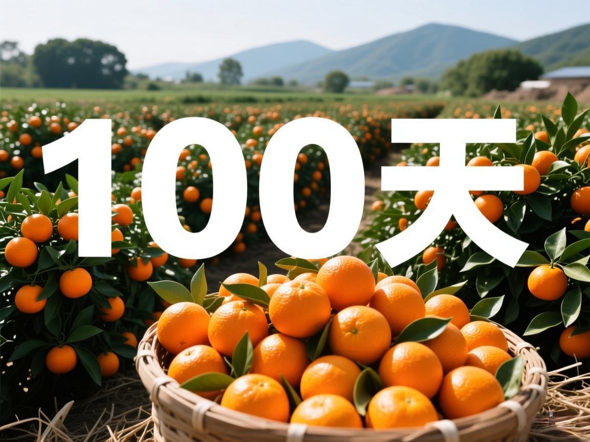 ����100���16�죺���Ӿ��Ӵ����
